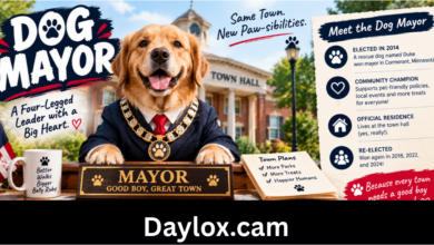 dog mayor